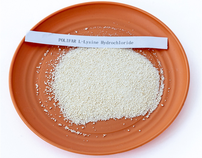 À quoi dois-je prêter attention lors de l'utilisation du chlorhydrate de lysine de nourriture?