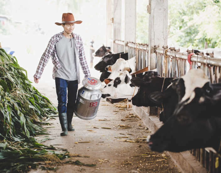 Quels sont les avantages des aliments vitaminés pour mes animaux ?